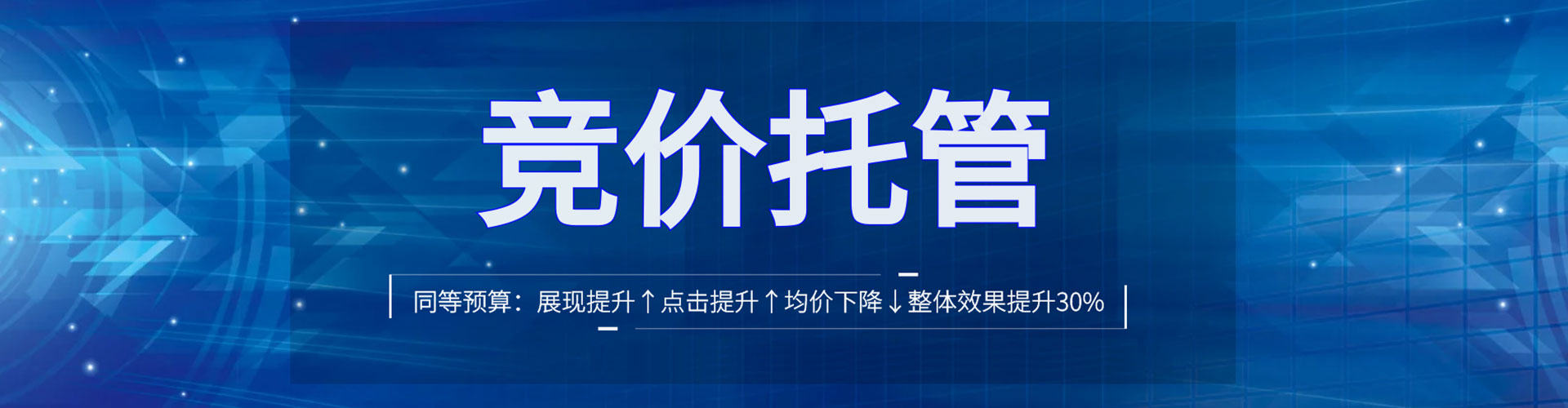 镇沅百度包年竞价